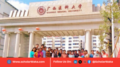 2026 Guangxi Medical University Scholarship in China | Fully Funded Opportunity - ScholarWaka