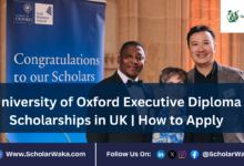 University of Oxford Executive Diploma Scholarships in UK | How to Apply - ScholarWaka
