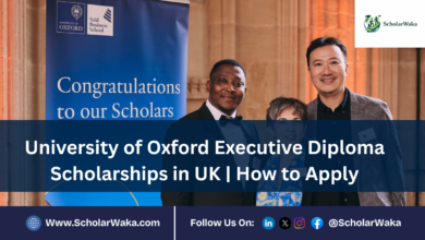 University of Oxford Executive Diploma Scholarships in UK | How to Apply - ScholarWaka