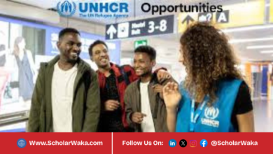 UNIV’R Programme 2026 in France | How to Apply - ScholarWaka
