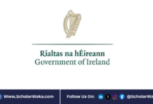 2026 Government of Ireland International Education Scholarship (GOI-IES) | Fully funded - ScholarWaka