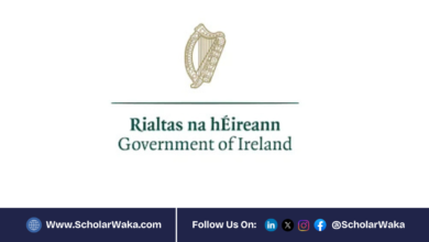 2026 Government of Ireland International Education Scholarship (GOI-IES) | Fully funded - ScholarWaka