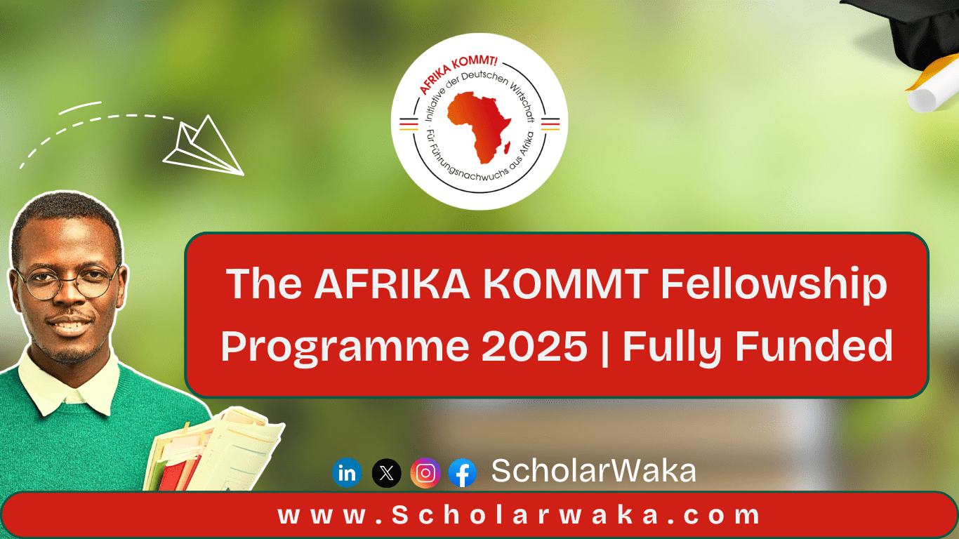 The AFRIKA KOMMT Fellowship Programme 2025 | Fully Funded - ScholarWaka