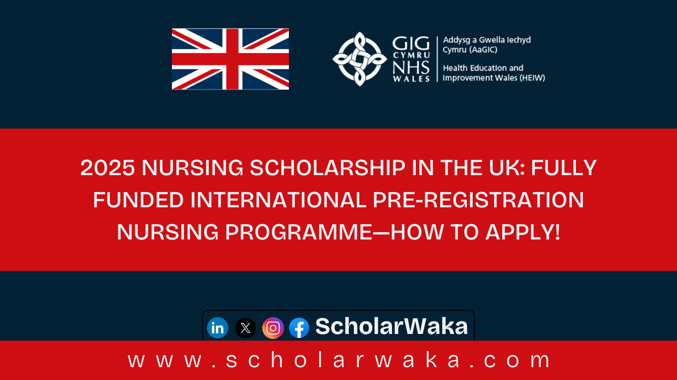 2025 Nursing Scholarship in the UK - ScholarWaka
