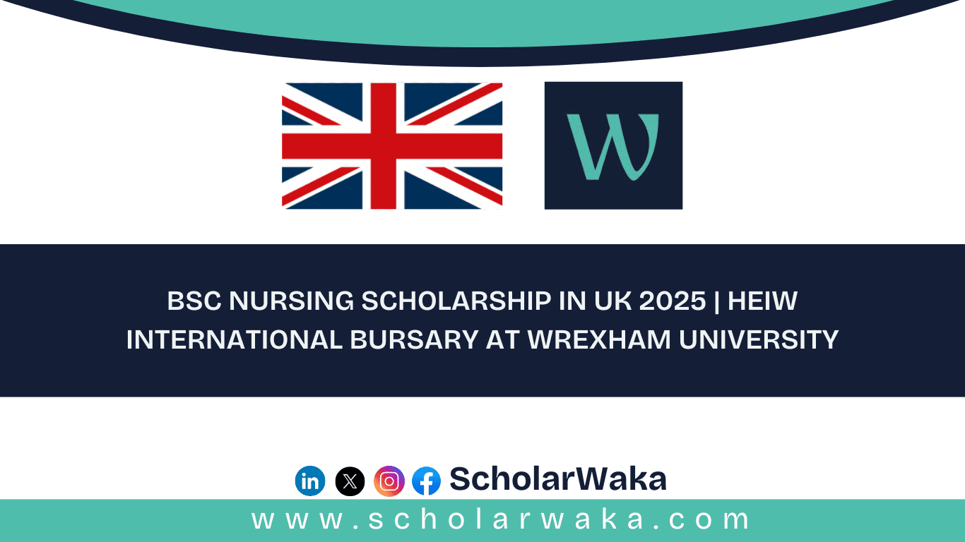 BSc Nursing Scholarship UK 2025 HEIW Bursary - ScholarWaka