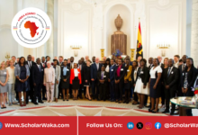 The AFRIKA KOMMT Fellowship Programme 2026 | Fully Funded - ScholarWaka