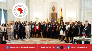 The AFRIKA KOMMT Fellowship Programme 2026 | Fully Funded - ScholarWaka