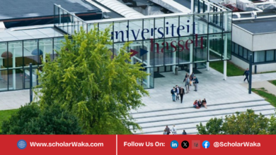 2026/2027 Hasselt University Master Mind Scholarship in Belgium | Fully Funded - ScholarWaka