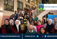 University College Dublin Global Excellence Scholarships 2026 | How to Apply - ScholarWaka