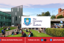 University of Sheffield Allan and Nesta Ferguson Charitable Trust Masters Scholarships 2026 | Fully Funded - ScholarWaka
