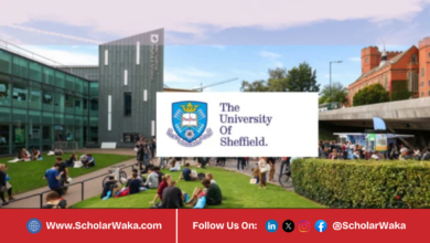 University of Sheffield Allan and Nesta Ferguson Charitable Trust Masters Scholarships 2026 | Fully Funded - ScholarWaka