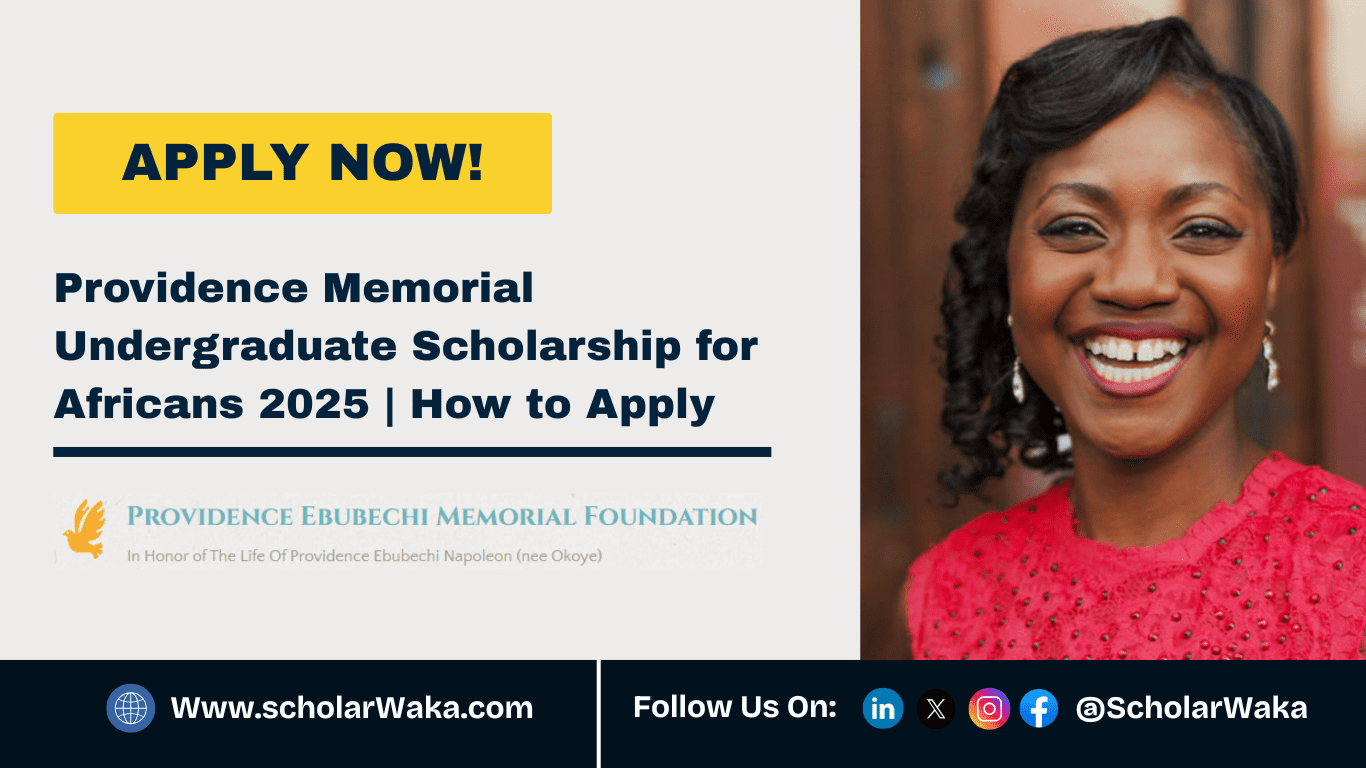 Providence Memorial Undergraduate Scholarship for Africans 2025 - ScholarWaka