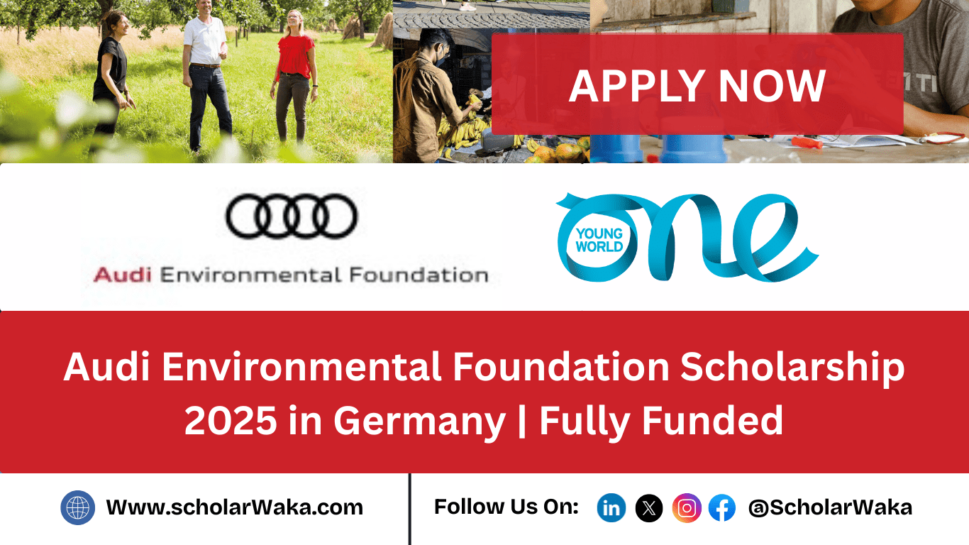 Audi Environmental Foundation Scholarship 2025 - ScholarWaka