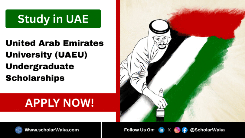 UAEU Undergraduate Scholarships 2025/2026 - ScholarWaka
