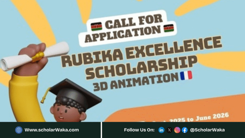 Rubika Excellence Scholarship 2025-2026 for Kenyans in France - ScholarWaka