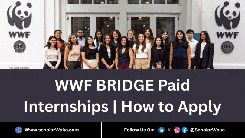 WWF BRIDGE Paid Internships 2025 - ScholarWaka