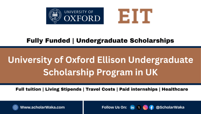 University of Oxford Ellison Undergraduate Scholars Program 2026 - ScholarWaka