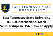 East Tennessee State University (ETSU) International Merit Scholarships in USA | How To Apply - ScholarWaka