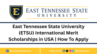 East Tennessee State University (ETSU) International Merit Scholarships in USA | How To Apply - ScholarWaka
