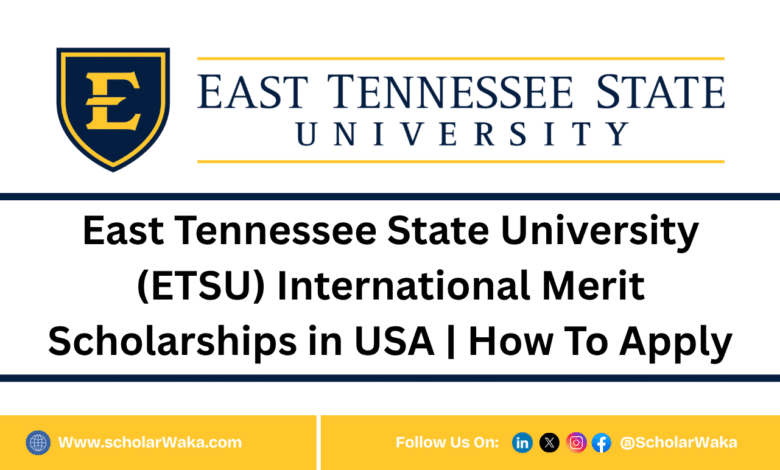 East Tennessee State University (ETSU) International Merit Scholarships in USA | How To Apply - ScholarWaka