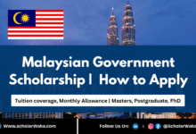 Malaysian Government Scholarship 2025 | How to Apply - ScholarWaka