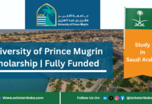 Select University of Prince Mugrin Scholarship 2025 | Fully Funded University of Prince Mugrin Scholarship 2025 | Fully Funded - ScholarWaka