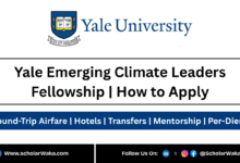 Yale Emerging Climate Leaders Fellowship 2026 | How to Apply - ScholarWaka