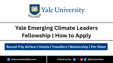 Yale Emerging Climate Leaders Fellowship 2026 | How to Apply - ScholarWaka