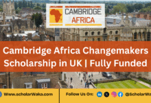 Cambridge Africa Changemakers Scholarship 2025 in UK (Fully Funded) - ScholarWaka