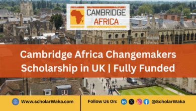 Cambridge Africa Changemakers Scholarship 2025 in UK (Fully Funded) - ScholarWaka