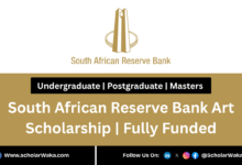 South African Reserve Bank Art Scholarship 2026 | Fully Funded - ScholarWaka