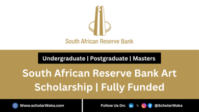 South African Reserve Bank Art Scholarship 2026 | Fully Funded - ScholarWaka