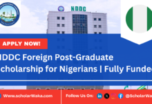 NDDC Foreign Post-Graduate Scholarship 2026/2027 for Nigerians | Fully Funded - ScholarWaka
