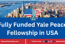 Yale Peace Fellowship 2026 | Fully Funded - ScholarWaka