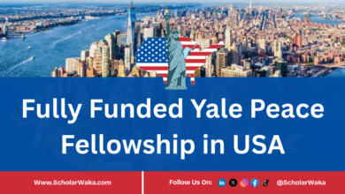 Yale Peace Fellowship 2026 | Fully Funded - ScholarWaka