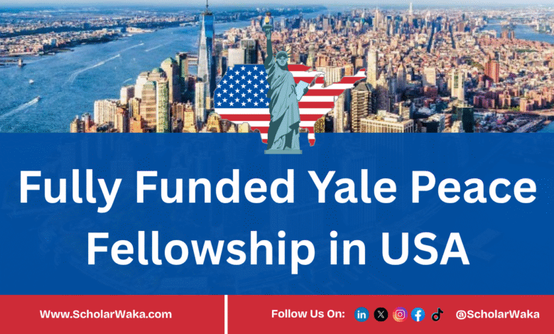 Yale Peace Fellowship 2026 | Fully Funded - ScholarWaka