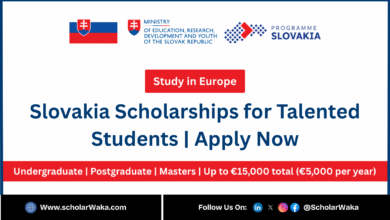 Slovakia Scholarships for Talented Students 2025/2026 in Europe | Apply Now - ScholarWaka
