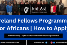 Ireland Fellows Programme – Africa 2026 | How to Apply - ScholarWaka