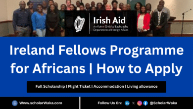 Ireland Fellows Programme – Africa 2026 | How to Apply - ScholarWaka