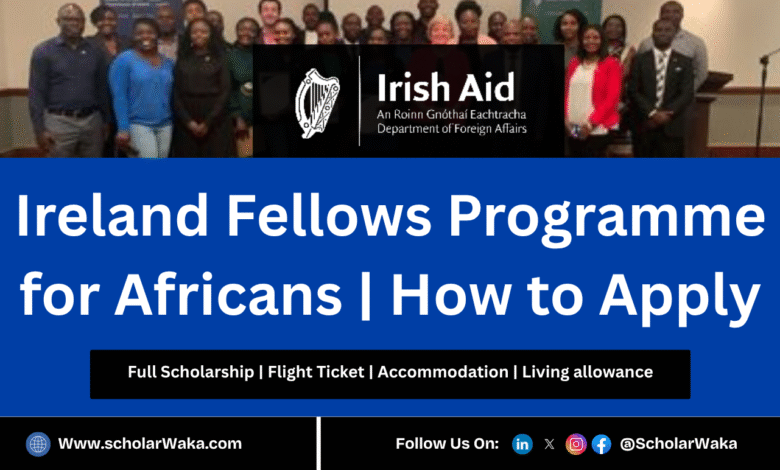 Ireland Fellows Programme – Africa 2026 | How to Apply - ScholarWaka