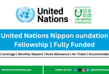 United Nations Nippon Foundation Fellowship 2026 | Fully Funded - ScholarWaka