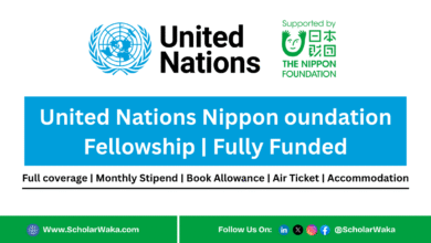 United Nations Nippon Foundation Fellowship 2026 | Fully Funded - ScholarWaka