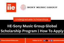 IIE-Sony Music Group Global Scholarship Program 2025/2026 for Undergraduates | How To Apply - ScholarWaka