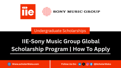 IIE-Sony Music Group Global Scholarship Program 2025/2026 for Undergraduates | How To Apply - ScholarWaka