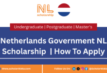 Netherlands Government NL Scholarship 2026 | How To Apply - ScholarWaka