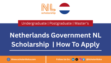 Netherlands Government NL Scholarship 2026 | How To Apply - ScholarWaka