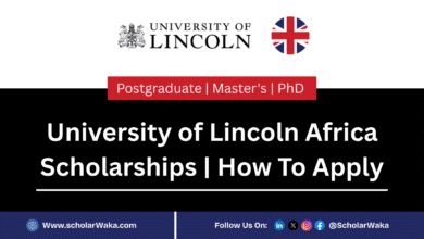 University of Lincoln Africa Scholarships 2025-2026 | How To Apply - ScholarWaka