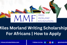Miles Morland Writing Scholarships 2025 For Africans | How to Apply - ScholarWaka