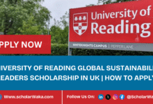 University of Reading Global Sustainability Leaders Scholarship 2025/2026 in UK | How to Apply - ScholarWaka