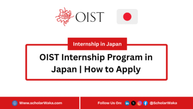 OIST Internship Program 2026 in Japan | How to Apply - ScholarWaka